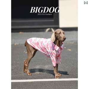 ^   ^ p   S[fgo[ uh[ VFp[h  ԕ Vc ybg ʋC ^ E h~