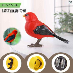   V~[V y  JTTM i bJ[  Ԃ A ct CAEg EFfBO  v[g