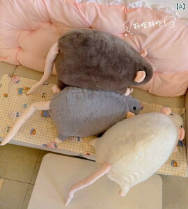  ʂ 킢 [~O 킢 X  ʂ l` xbh K[th Jbv Mtg