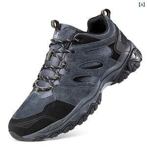 bNNC~O V[Y Cantorp Kentop AEghA nCLO V[Y Y t ʋC v ~ y oR