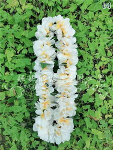 nCA X^C l qp nCAt XJ[gB Ԃ lbNX r[` ptH[}Xp ANZT[ tB