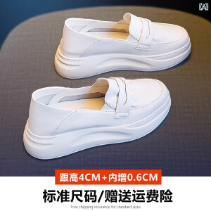 i[XV[Y \tg \[ p zCg V[Y 2025 tH i[XV[Y  vbg tH[ Xb| JWA X|[c n