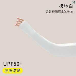 A[K[h jp X[u Catman ⊴ ACX X[u fB[X Ăh~ UV ی 2024 Y TCNO ^]p A[K[h