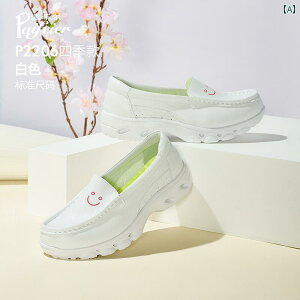 i[XV[Y wl NbV Paifeier i[XV[Y fB[X \tg \[ v ʋC ɂ  ~ hL v t  C