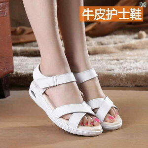 i[XT_ V[Y Barbai z T_ tbg q[ U[ ʋC i[XV[Y fB[X  GA NbV \tg \[ ɂ Dw d  C