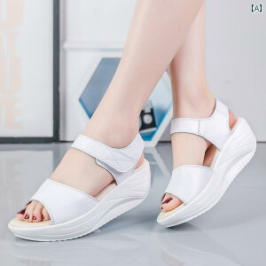 i[XT_ V[Y U[ VFCN {g wl C   EFbW zCg i[XT_ \tg \[ ~  r[` T_