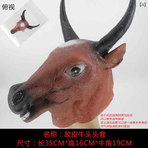 n }XN RXv  ? ? X  l     ? | ?  ?  ?  \ o  