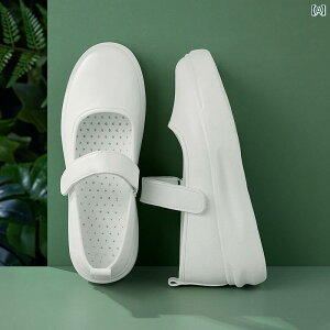 i[XT_ V[Y p i[XV[Y \tg \[ ʋC ~ ėp T_  ×p  C C