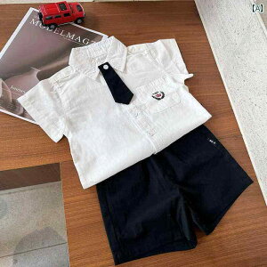 t@bV xr[ {[C 2024  zCg Vc j̎q ĕ JbW X^C qp am hX X[c