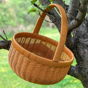 sNjbN oXPbg tFCN  ҂݂ 莝 Eh [ oXPbg O sNjbN t[c Mtg  sbLO 