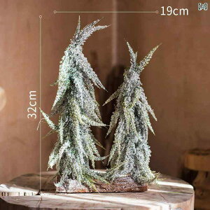 NX}Xc[ Juhan   NX}X c[ fXN gbv  p  JtF Ղ ͋C CAEg