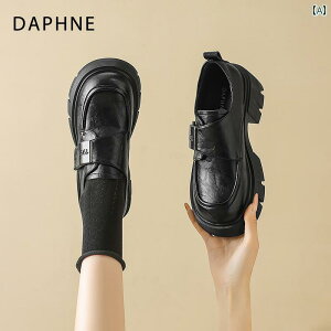 ꃍ[t@[ fB[X _tl fB[XV[Y  [t@[ fB[X 2025 g Abv p  \tg \[ ۂ ܐ  U[V[Y W