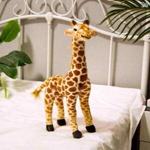  킢 V~[V L l` ʂ  qp  j̎q ̎q a v[g