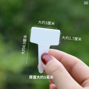 K[fjO   A T ^ x } | c[ A  h c d   vX`bN  J[h