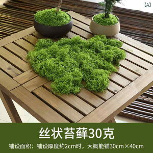 K[fjO V~[V   oCIjbN lH tFCN X }CN hXP[v CAEg  Ő ~ A ܑ 