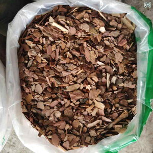 K[fjO    ⏕  Jo[ ޖ `bv   tB[  ܑ 