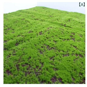 K[fjO  J[ ybg lH  Ő Ǘp fJ[ A ~ A tFCN p