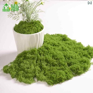 K[fjO V~[V   tFCN X E[ ^[t O[ vg }CN hXP[v A  lH oCIjbN Ő 