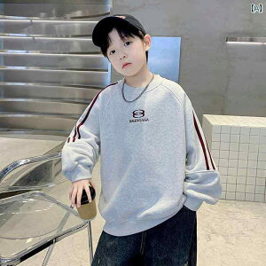 q j̎q t  XEFbgVc 2025 X^C qp tH  Vc