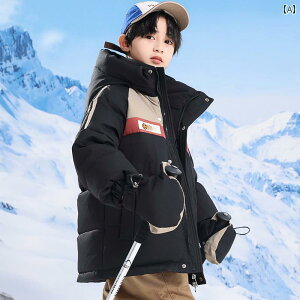 qp _EWPbg qp _E WPbg j̎q 2025 X^CbV ~fBA O  ~fBA [W {[CY{[CY K[Y ~ R[g