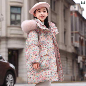 qp _EWPbg It V[Y Balah ~h  qp _E WPbg ̎q 2025N M TCY L TCY ~ R[g i