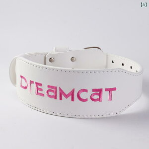 EGXgxg DREAMERCAT v tBbglX X|[c fB[X A` X^bN EGXg fB[v XNbg n[h v g[jO xg EFCgxA O @ ی MA