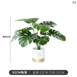 i  ^ k V~[V A  gx[ oii ~  rO [  tFCN A O[ 