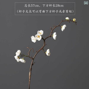 i CeA tFCN ~̉   } EoC  T t[AWg rO [ CeA   ԕr Zbg