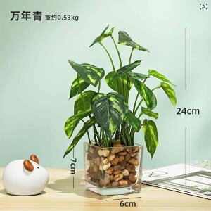 i CeA  V~[V A KX r  i tFCN A z[ rO [ CeA fXN gbv  ~