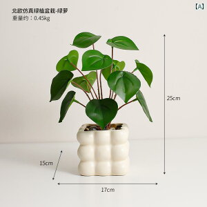 i CeA Ins tFCNO[ A V~[V  A    ItBX fXN O[ i