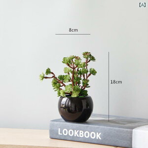 i CeA   fXN gbv  V~[V A  i z[ R[q[ e[u A T{e ~