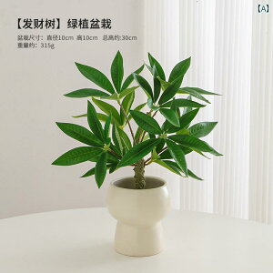 i CeA tFCN A i  rO [  R[q[ e[u A erLrlbg fXNgbvoCI jbN A tFCNt[ 