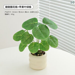 i CeA A V~[V K^  rO [ er |[` ItBX [NXe[V fXN gbv  A  i