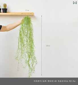 i CeA Jiusi V~[V nMO vg A {I I ݂艺  A[g k CeA  art 341