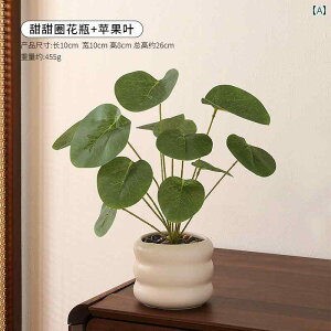 i CeA A V~[V  A i rO [  fXN gbv oCIjbN A ~ ItBX Ԃ 