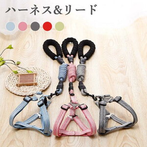 n[lX[h ZbgAbv n[lX  L hbOEFA LbgEFA [h ^ ^ [v    ybgpi