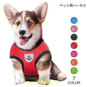 n[lX[h2_ZbgփybgJo^mʋChbOEFAVv