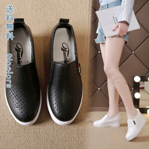 Xj[J[  EH[LO fB[Y V[Y ꂢ ~ ₷ RȂ ɂ y JWA t  H pI ɂȂ