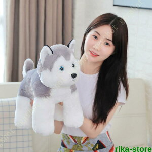 ʂ nXL[    NbV Aʂ nXL[ CeA Q q   Aj} ӂӂŖ _炩