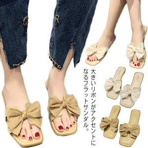 T_ ؂ fB[X { C V[Y tbg  Xbp ₷ C r[`T_  ~ y ₷ 