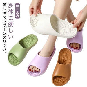  T_ x_ T_  Xbp  NT_ Y }bT[W c{Xbp NXbp ڃXbp  fB[