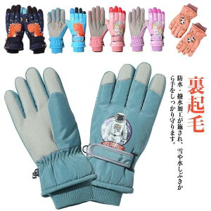   j̎q ̎q LbY h  5{w XL[O[u q Xm[O[u V WjA  q  h N X