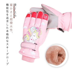 X}z 5{w  XL[O[u WjA Ή XL[O[u LbY h h  ܖ{w ~g j̎q Sw q ^b` ~