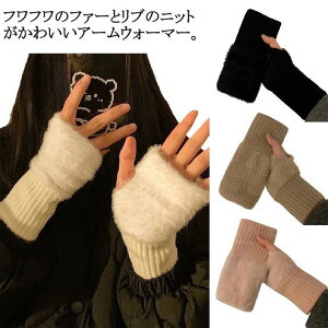 wȂ h  fB[Xjbgtt t@[ fB[X  ObY 킢 g