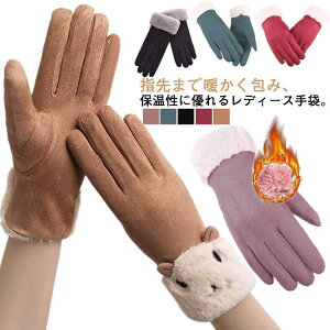  fB[X H~ X}zΉ {A  XG[h 킢 ʊw ]  h O[u X}z  g v[