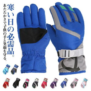 LbYhXm[O[u v[g h@\ ۉ XP[gKp S XL[ Mtg Kۉ yʐ݌v _f Xm[{[hO[u h 