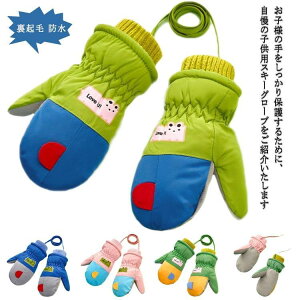 ̎q Xm[ ~g h XL[O[u XL[O[u Xm[O[u ۉ  Xm[{[hO[u LbY Xm[{[h O[u