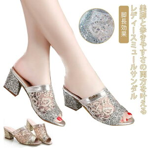 ~[ T_  fB[X Vv LL Xbp ₷ C tH ėp V[Y l   r i r X^