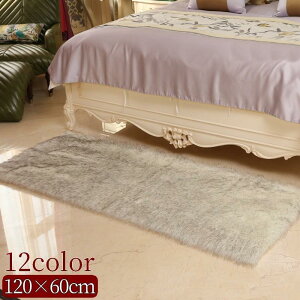 O t@[ lp ` XNGA ӂӂ J[ybg O}bg }bg 120 60cm  g  ё  C