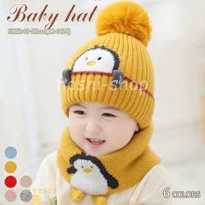 Xq q Ԃxr[ LbY yM Lbv xr[Xq  ~  Mtg v[g ΍ o 48-52cm